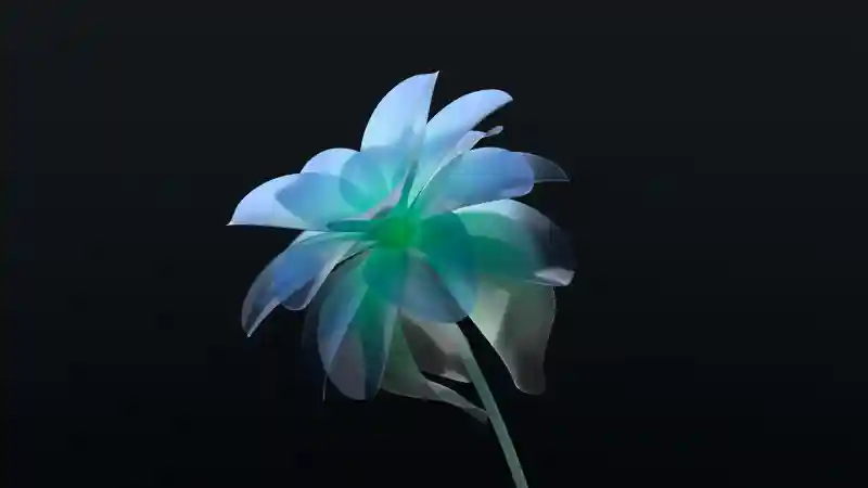 Wallpaper